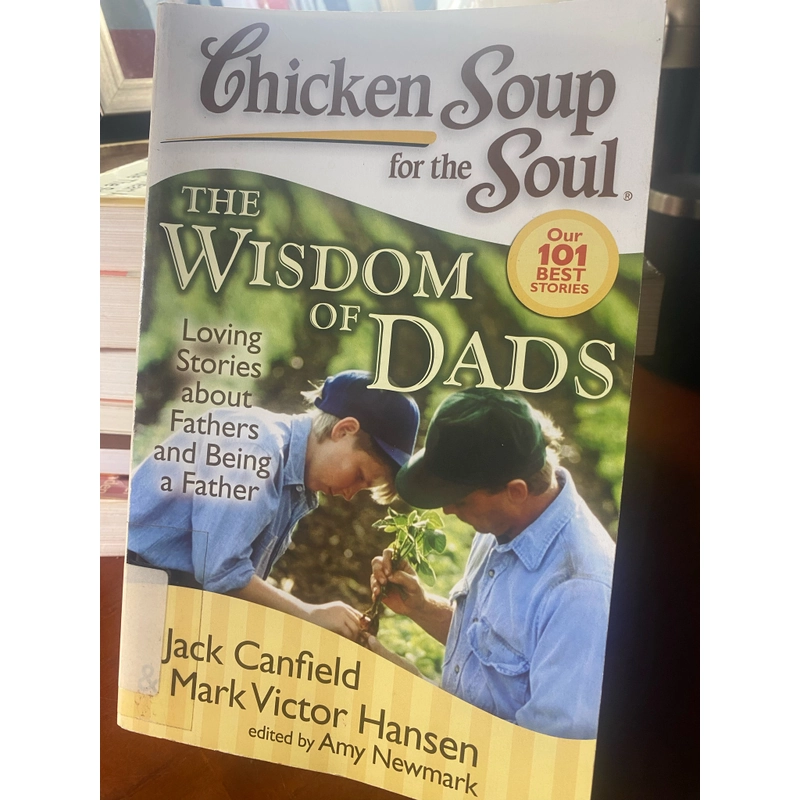 Chicken Soup for the Soul - the Wisdom of Dads 538418