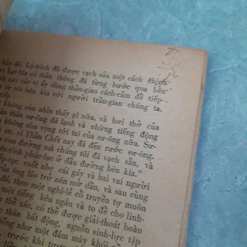 TÂY TẠNG HUYỀN BÍ - NGUYỄN HỮU KIỆT 783817