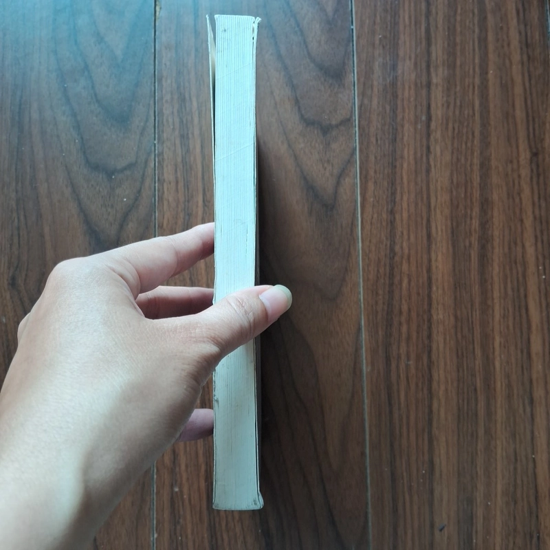 Quyến rũ người đẹp 504992