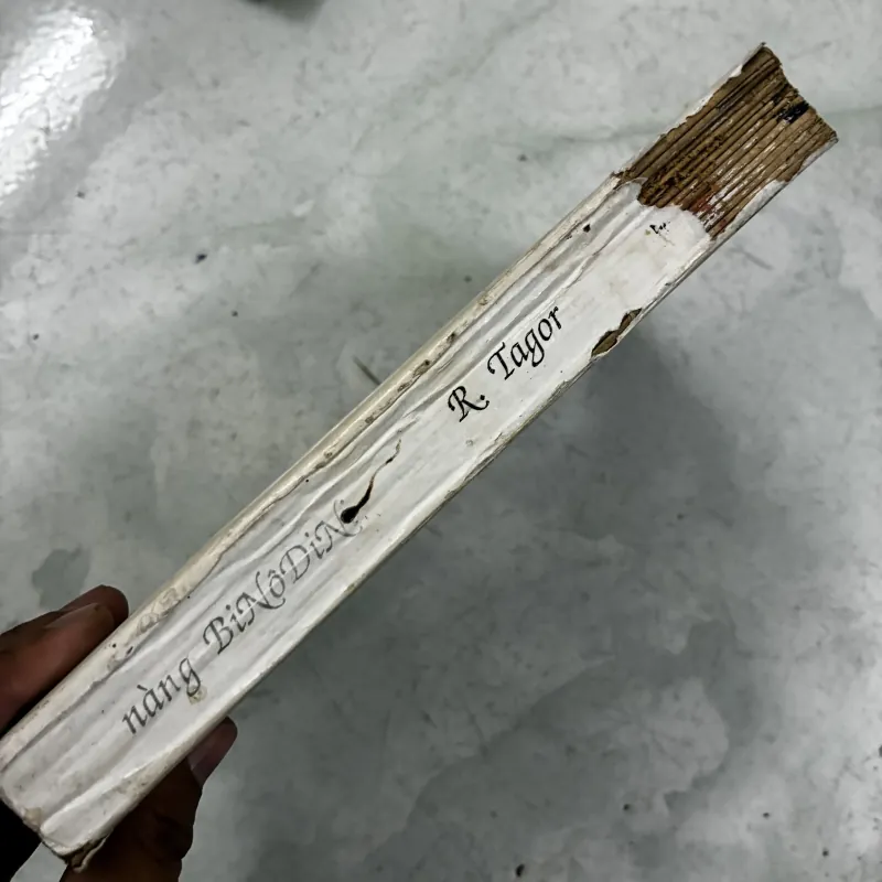 Nàng Binodini - R Tagor 1031532