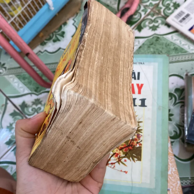 Từ điển trung việt  800465