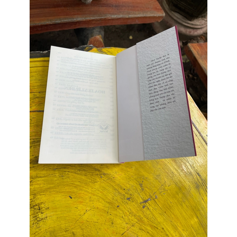 Combo Trà hoa nữ- Hoa Tuylip đen- Alexandre Dumas 476429