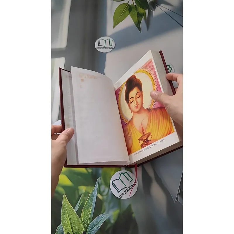 Chơn Lý 1 - Tổ Sư Minh Đăng Quang 990053