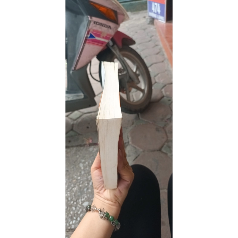 Chiến Thắng Bằng Mọi Giá- Võ Nguyên Giáp 526198