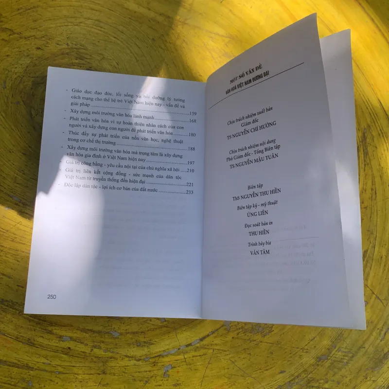 COMBO MỘT SỐ VẤN ĐỀ VỀ VĂN HOÁ VIỆT NAM ĐƯƠNG ĐẠI & DẪN LUẬN NGÔN NGỮ HỌC  785680