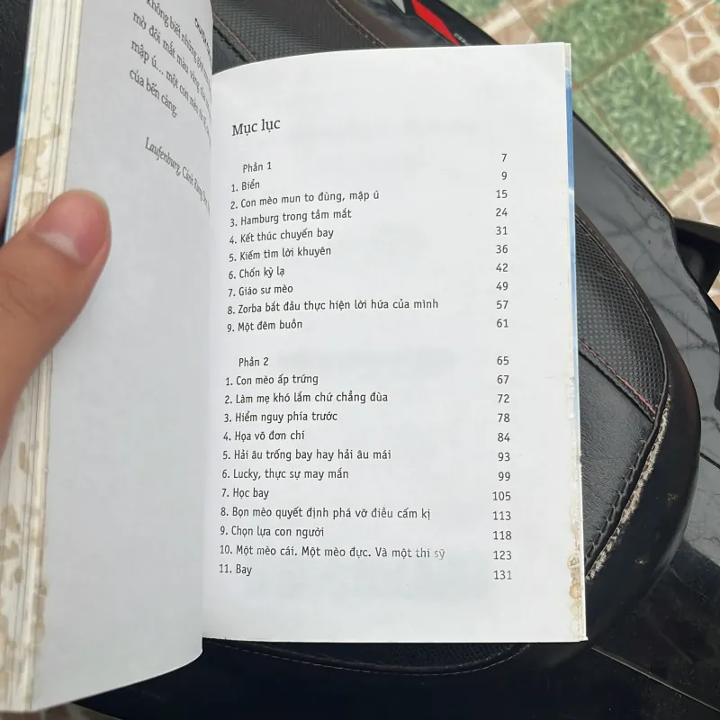 Chuyện con mèo dạy hải âu bay 791733