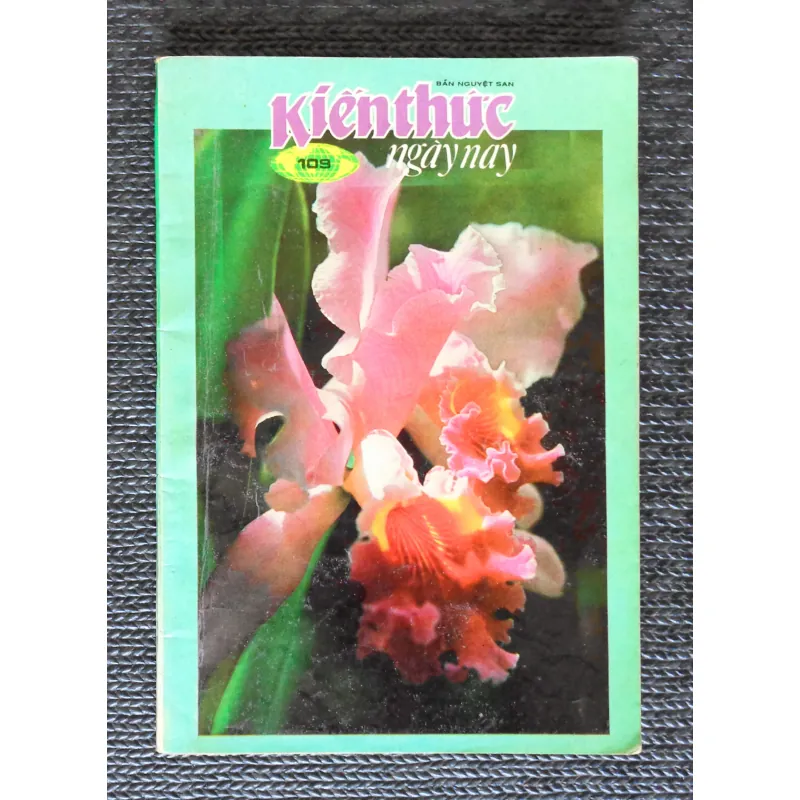 Kiến thức ngày nay xưa (Số 109 - 1993) 338003