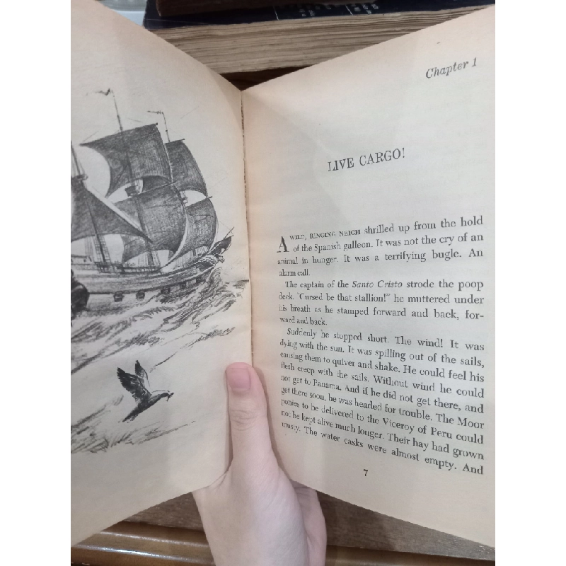Misty of chincoteague - Marguerite Henry 507906