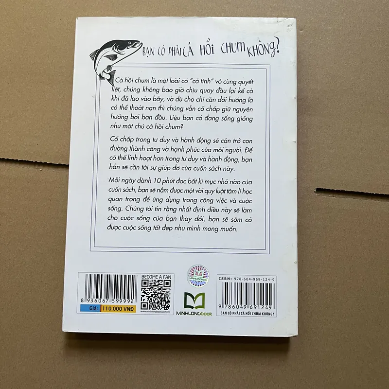 Bạn có phải cá hồi chum không? 731518