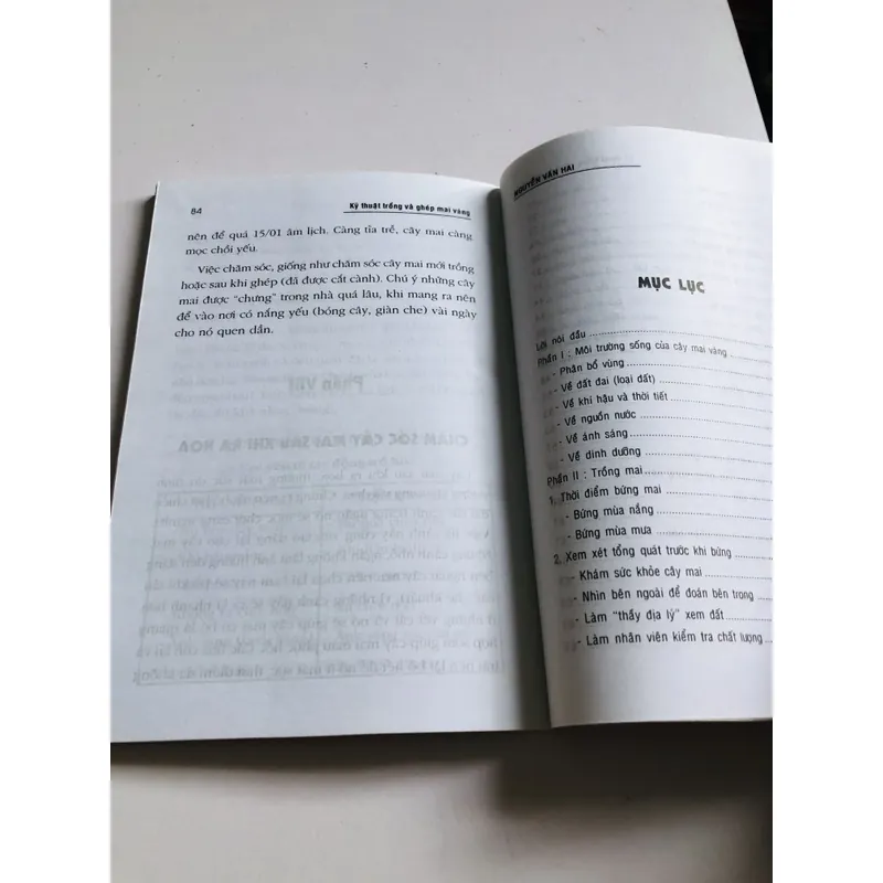 KỸ THUẬT TRỒNG VÀ GHÉP MAI VÀNG 696130