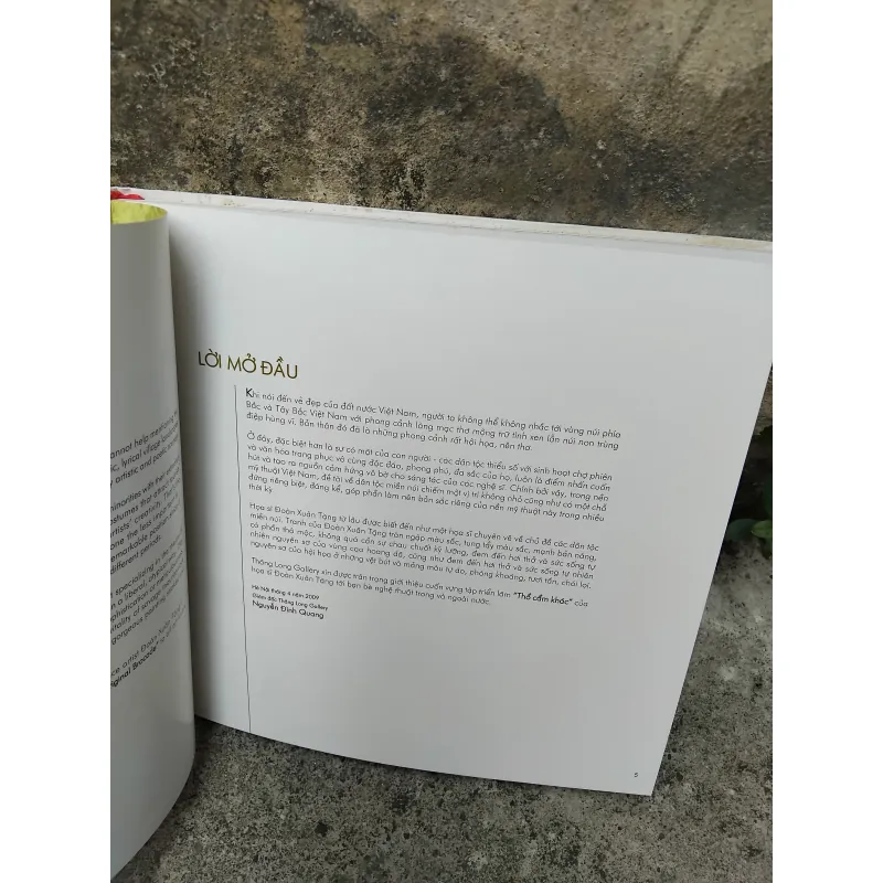 Thổ cẩm khác vựng tập hội họa của Đoàn Xuân Tặng  1006126