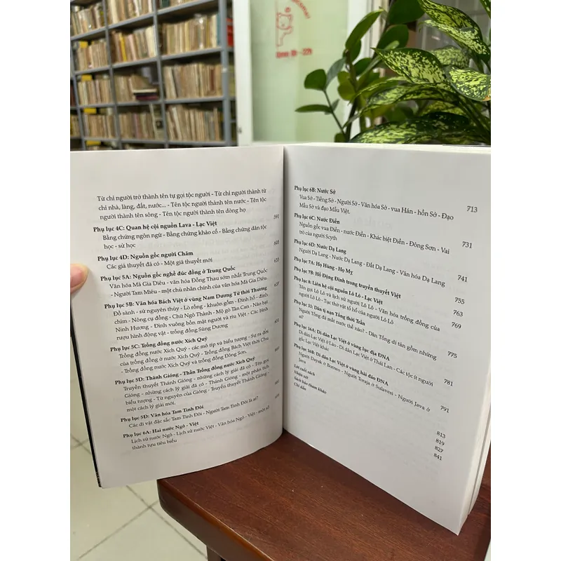 Nguồn gốc người Việt - người Mường - Tạ Đức 675137