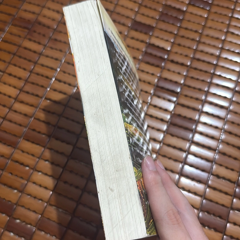 Một đời tiết hạnh - Nguyễn Thiện Luân 523329