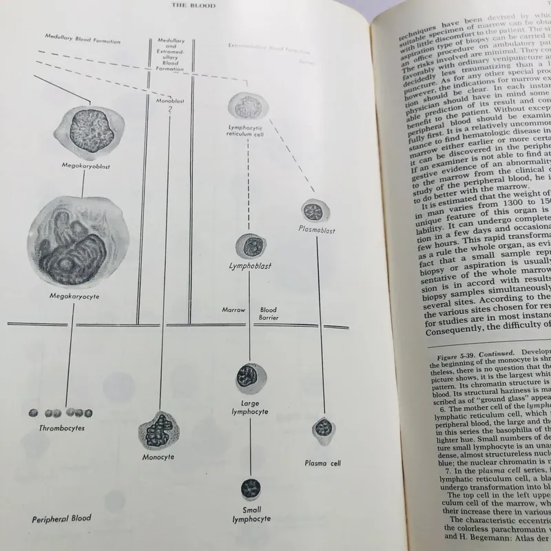 CLINICAL DIAGNOSIS BY LABORATORY METHODS (Todd – Sanford, Davisohn and Henry) 1969 721024