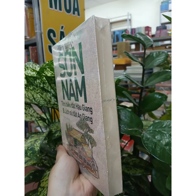 TÌM HIỂU ĐẤT HẬU GIANG & LỊCH SỬ ĐẤT AN GIANG - SƠN NAM 738260