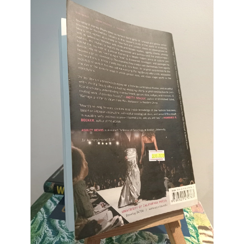 Pricing Beauty: The Making Of A Fashion Model - Ashley Mears 449006