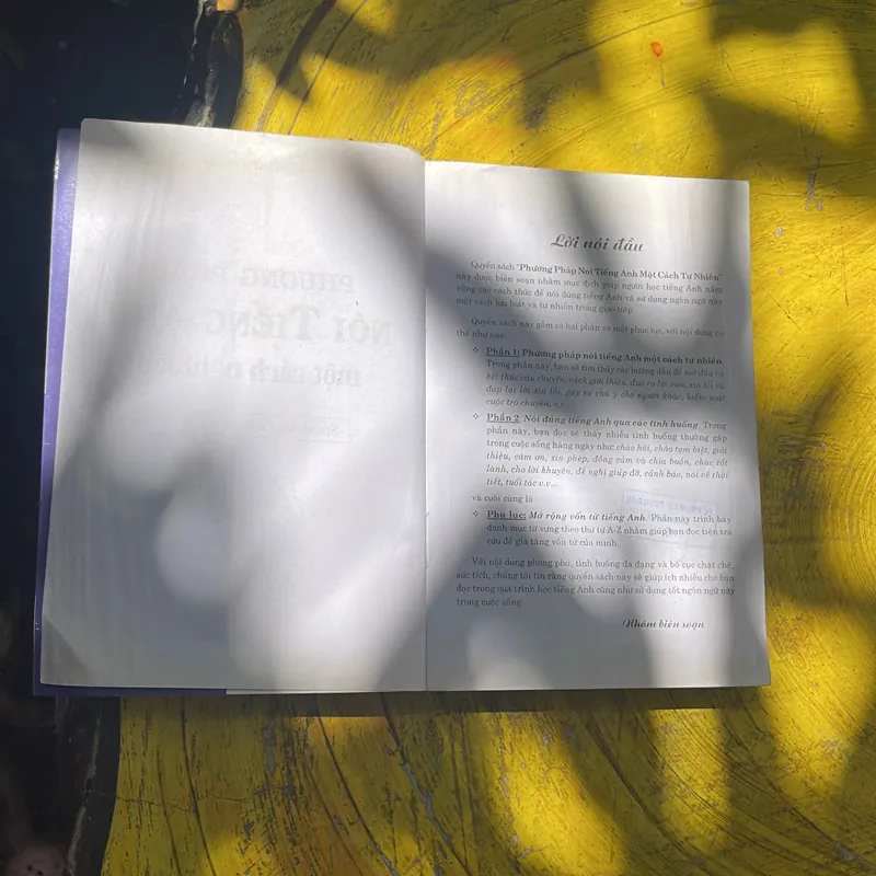 PHƯƠNG PHÁP NÓI TIẾNG ANH MỘT CÁCH TỰ NHIÊN 696588