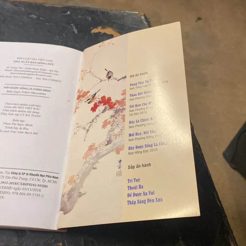 Hãy Được Sống Là Chính Mình- Thích tâm Hạnh 689656