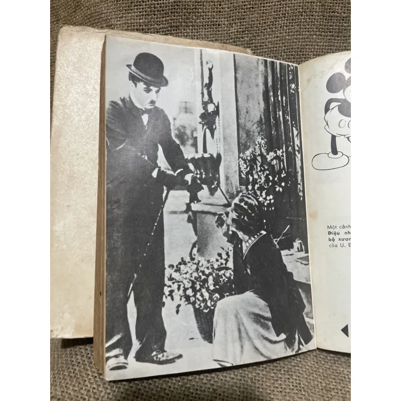 Lịch sử điện ảnh thế giới , hơn 1000 trang  1018061