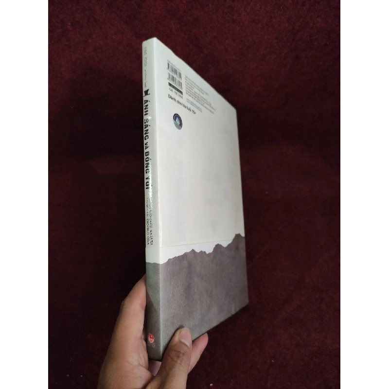 Câu chuyện về bộ 3 Luffy, ACE và Sabo mới 90% 910392