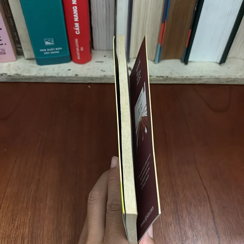 II Sách Phật Giáo: Sống An Vui - KHANGSER RINPOCHE - 2017 631138