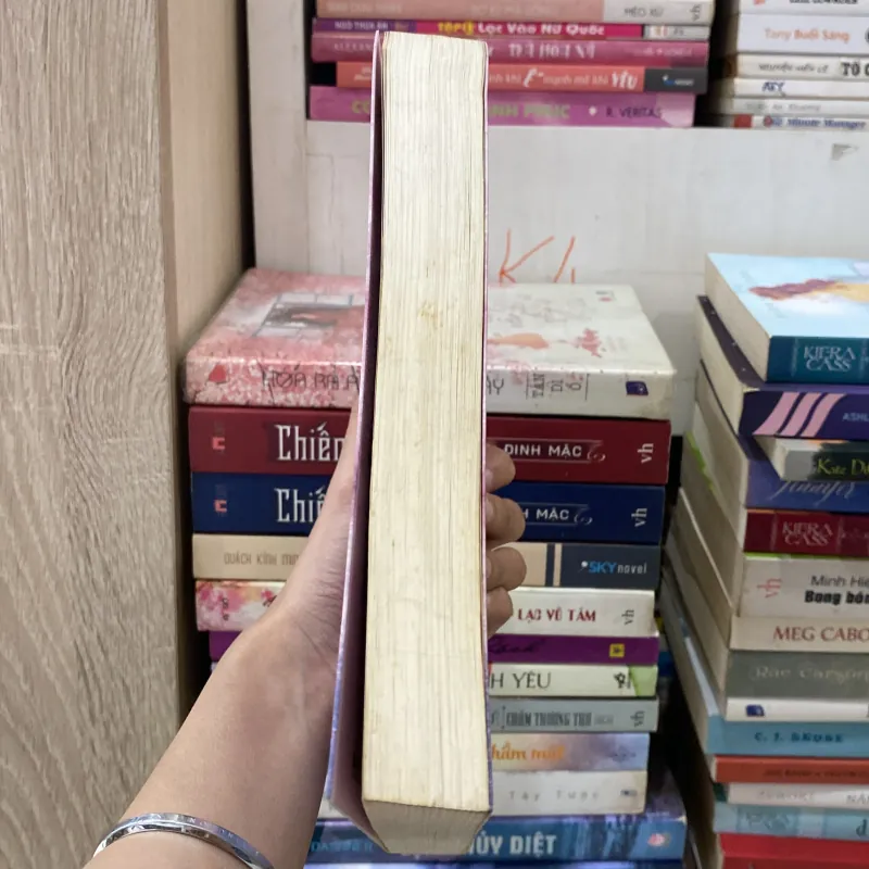 Em Đứng Trên Cầu Ngắm Phong Cảnh, Người Đúng Trên Lầu Lại Ngắm Em♟️ 785900