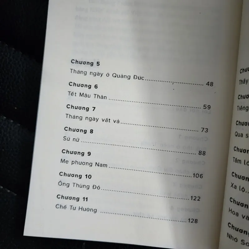 Miền nam sống đẹp | vũ đức sao biển  931041