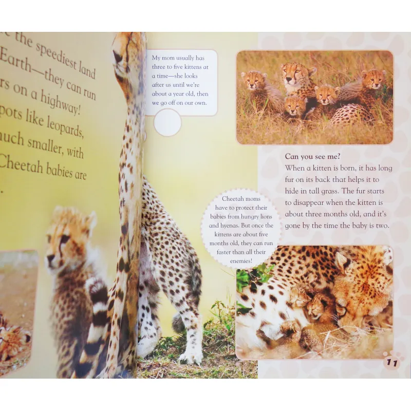 Big babies, little Babies: Discover the enchanting world of newborn animals 7899
