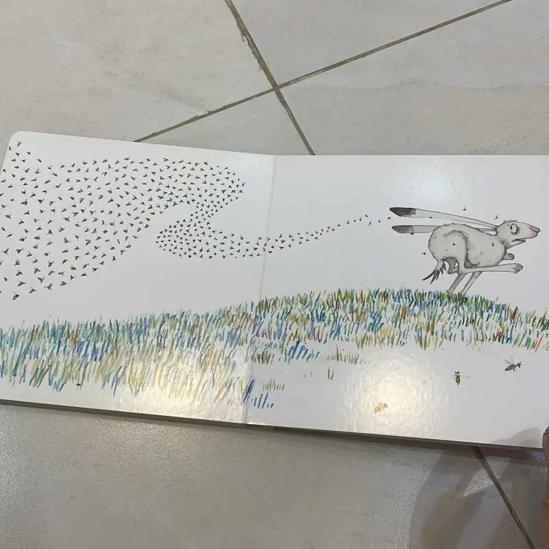 NGOẠI VĂN tiếng anh trẻ em : Bear and Hare - MINE! - Emily Cravett -MACMILLAN  1027789