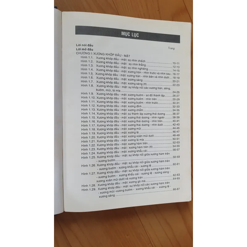 GIẢI PHẪU ĐẦU MẶT CO 752816