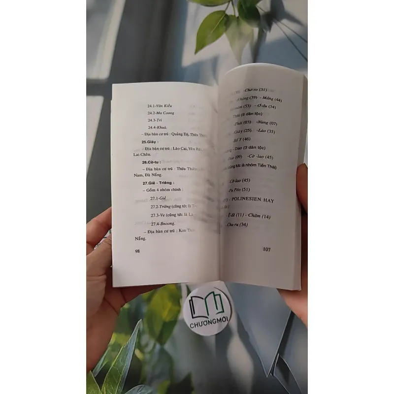 Việt Nam Tư Liệu Tóm Tắt - Nguyễn Khắc Thuần 970225