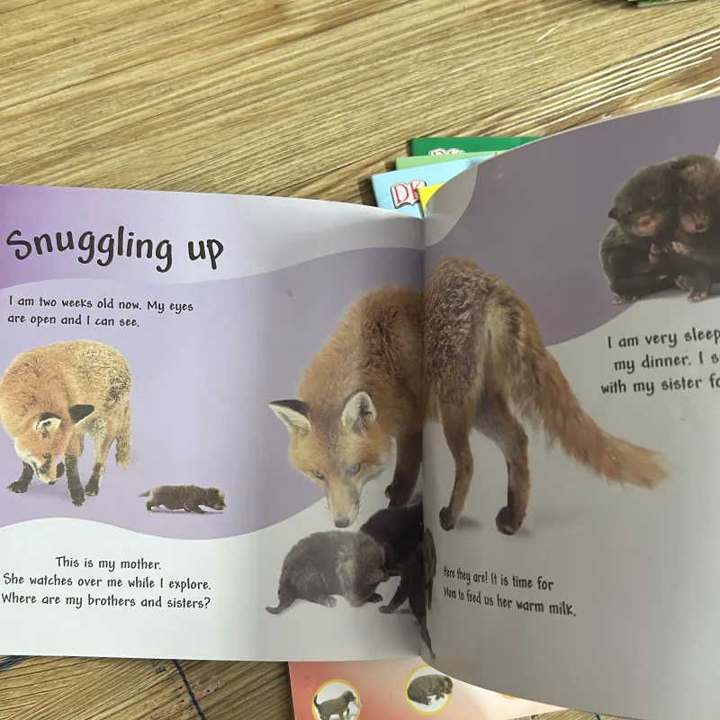 Bộ sách 9 quyển tiếng Anh cho bé See how they grow in màu mới đẹp 1031411