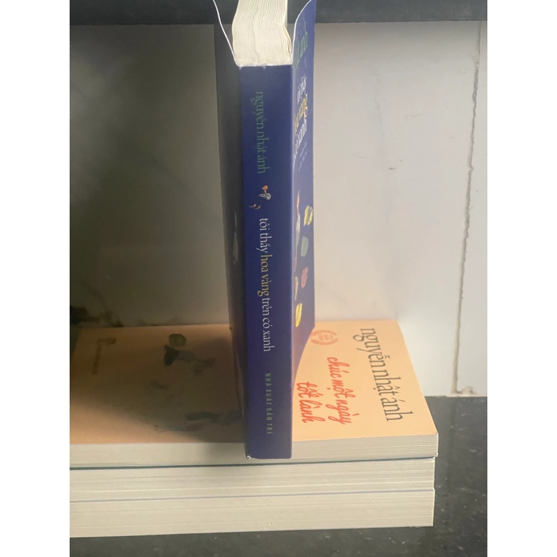 Tôi thấy hoa vàng trên cỏ xanh - nguyễn nhật ánh 546872