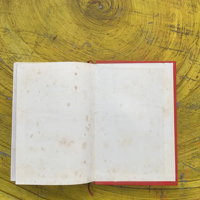 HUYỀN TRÂN CÔNG CHÚA- HOÀNG QUÓC HẢI  789842