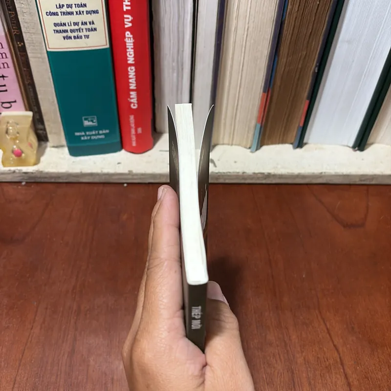 II Sách Lịch Sử: Viết Về Điện Biên Phủ - Thép Mới - 2024 722793