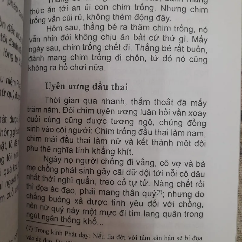 Nhân quả giải theo Phật Giáo. Hạnh Đoan sưu tầm 576442
