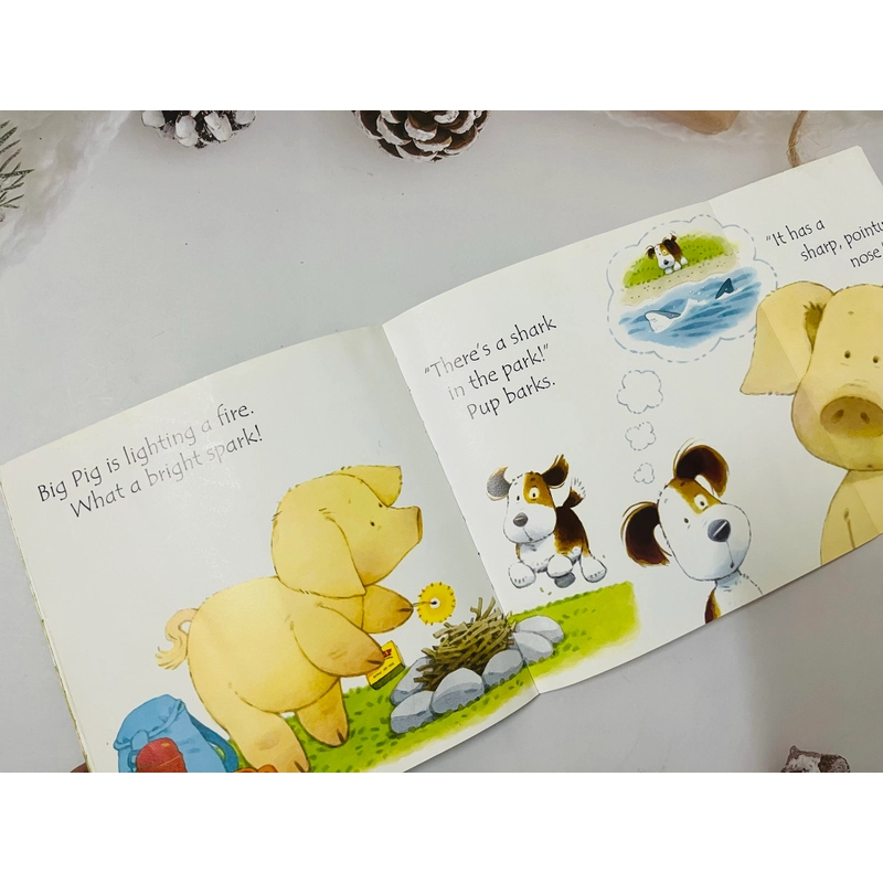 Usborne Phonic reader bộ cơ bản có trang lật mở 546054