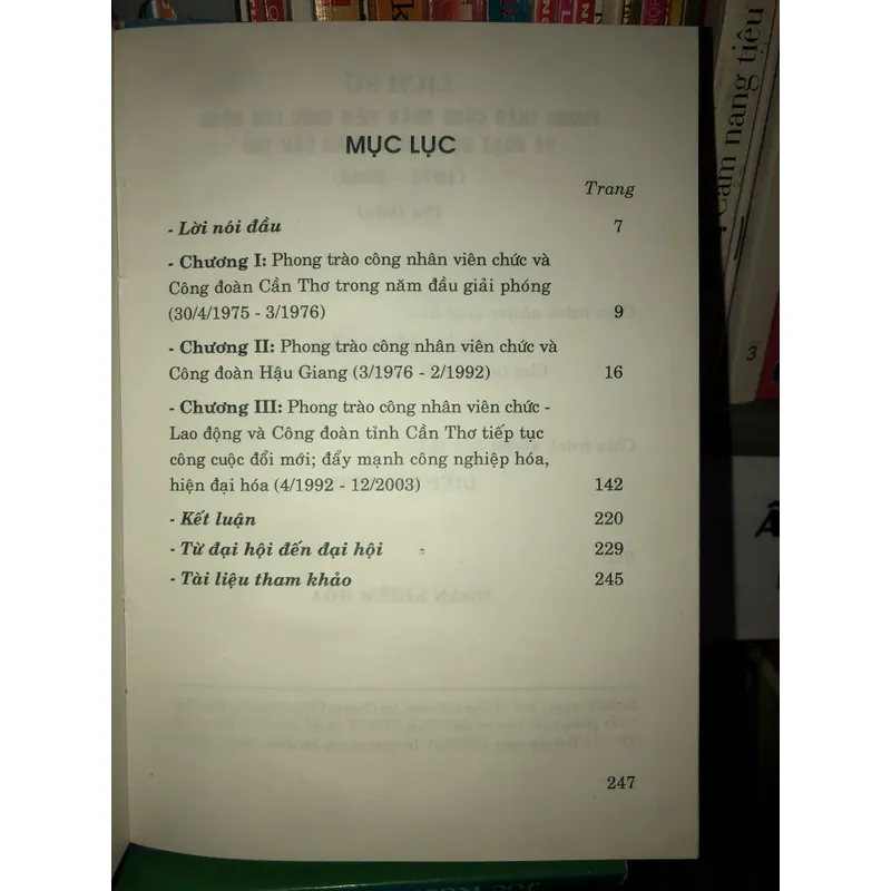 Lịch sử phong trào công nhân viên chức lao động và hoạt động công đoàn Cần Thơ(1975-2003)  595907