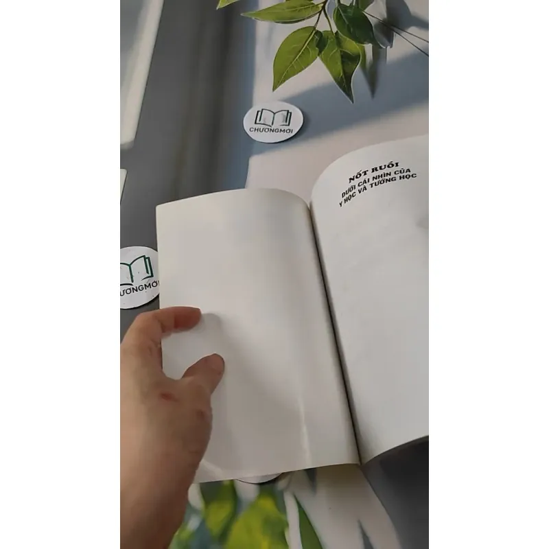 Nốt Ruồi Dưới Cái Nhìn Y Học & Tướng Học - Như Hùng 727280