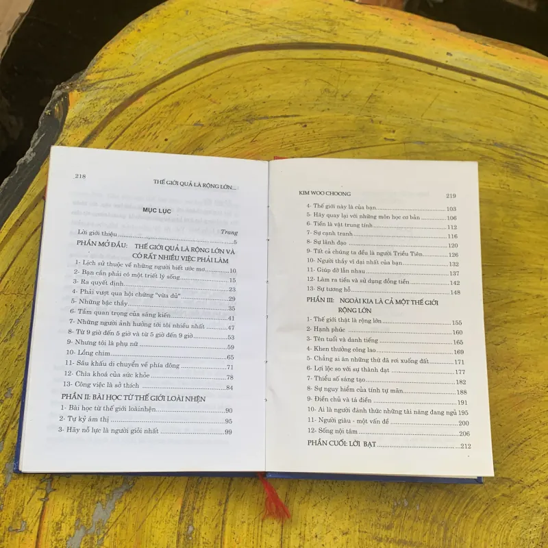 THẾ GIỚI QUẢ LÀ RỘNG LỚN VÀ CÓ RẤT NHIỀU VIỆC PHẢI LÀM- KIM WOO CHOONG 780394