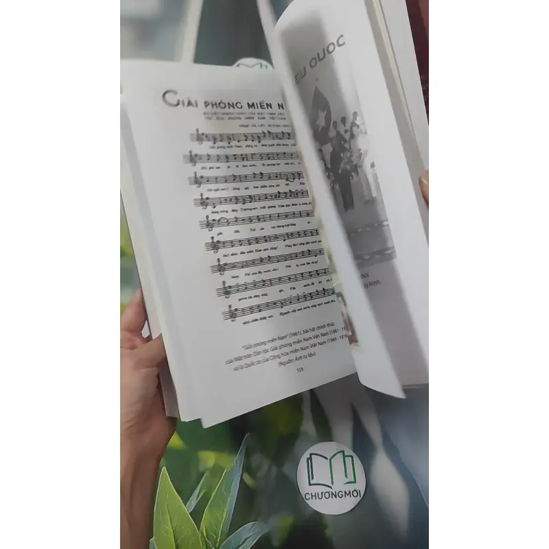 [MIỄN PHÍ BỌC SÁCH] Chính Phủ Cách Mạng Lâm Thời Cộng Hòa Miền Nam Việt Nam - Nguyễn Đình Thống 1018898