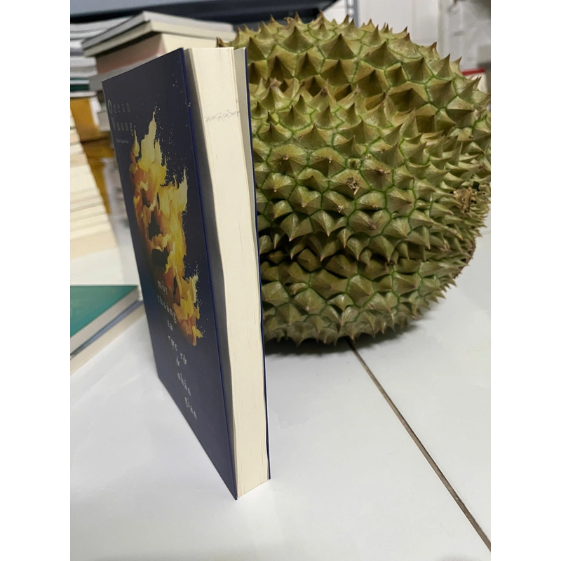 Một Thoáng Ta Rực Rỡ Ở Nhân Gian 446483