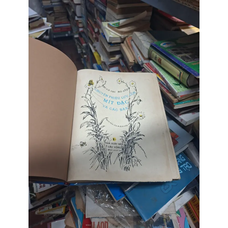 Chuyện phiêu lưu của mít đặc và các bạn 931218