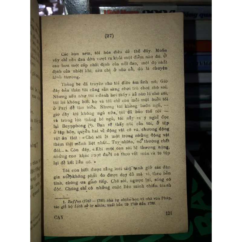 Cây noel - Misen Batayơ 785860