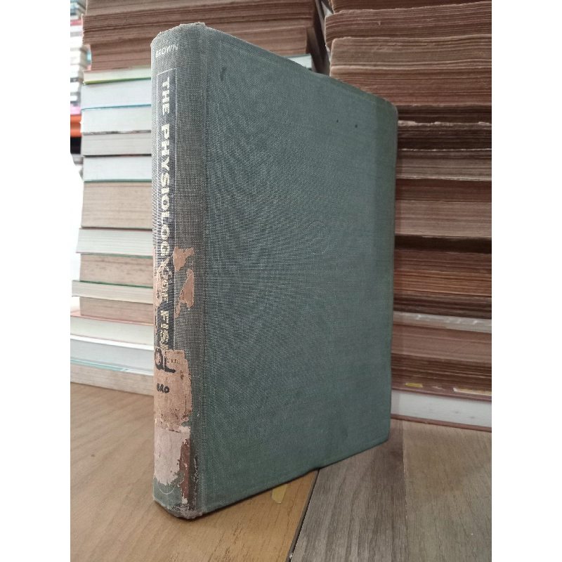 The physiology of fishes - Margaret E. Brown 778056