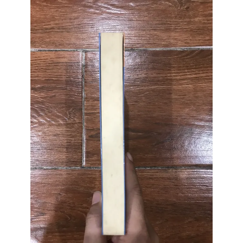 Tống Khánh Linh - Người phụ nữ hiện đại của thế kỷ 20 (8) 590686