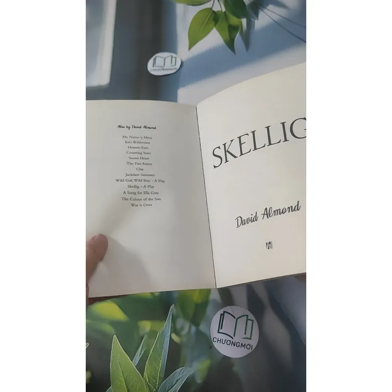 Skellig - David Almond 1033624