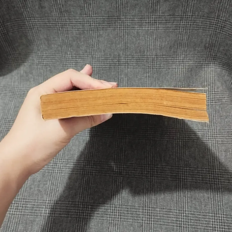 Lý Tiểu Long cuộc đời và võ công - Lạc Việt & Phạm Xuân Thảo - Năm 1991 597064