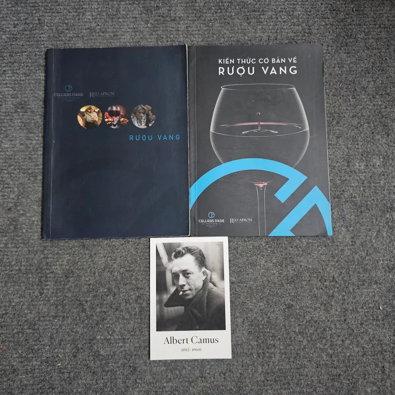 Kiến thức cơ bản về rượu vang 971597