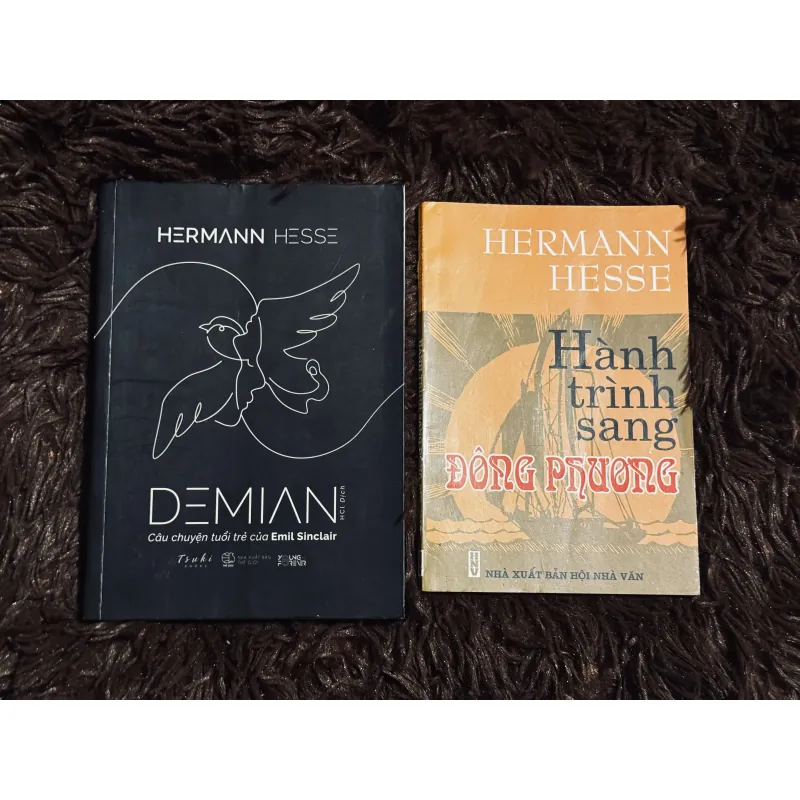 Combo Herman Hesse 996749